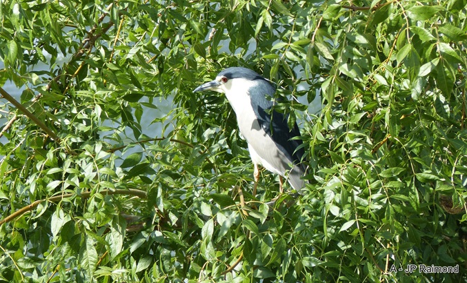 Sortie au lac Birazel